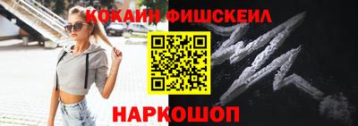 стаф Владимир