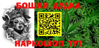 стаф Владимир