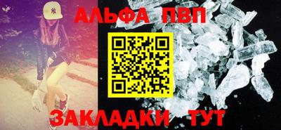 стаф Владимир