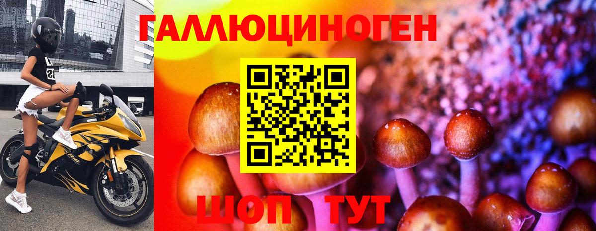 Галлюциногенные грибы прущие грибы Белгород