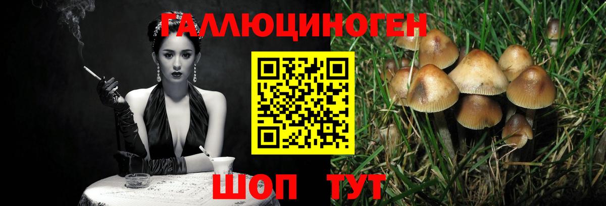 Галлюциногенные грибы Cubensis  Вход с VPN  Белгород  Галлюциногенные грибы Psilocybine cubensis 